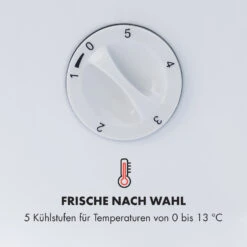 Beersafe L Crystal White Kühlschrank 47 Ltr 2 Böden Glastür Edelstahl 13 Beersafe L Crystal White Kühlschrank 47 Ltr 2 Böden Glastür Edelstahl -Haushaltsgeräte Geschäft 10033121 de 0005 logo