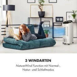 IceWind Plus 4-in-1 Luftkühler 330 M³/h Oszillation Fernbedienung -Haushaltsgeräte Geschäft 10033433 de 0005 logo