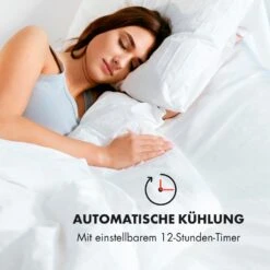 IceWind 4-in-1 Luftkühler Luftdurchsatz: 222 M³/h 36,5 Watt -Haushaltsgeräte Geschäft 10033496 de 0009 logo