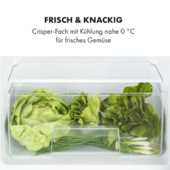 Big Daddy Cool Kühl-Gefrierkombination 61/25 Liter 2 Ebenen Edelstahl 16 Big Daddy Cool Kühl-Gefrierkombination 61/25 Liter 2 Ebenen Edelstahl -Haushaltsgeräte Geschäft 10034005 de 0005 logo