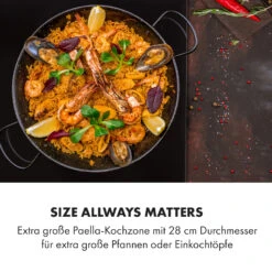 Delicatessa 3 Flex Induktionskochfeld 3 Zonen 6600W Flexzone Schwarz -Haushaltsgeräte Geschäft 10034194 de 0003 logo