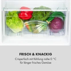 Cool Cousin Kühl-Gefrier-Kombination 70/11 Liter 40 DB 15 Cool Cousin Kühl-Gefrier-Kombination 70/11 Liter 40 DB -Haushaltsgeräte Geschäft 10034547 de 0006 logo