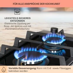 Alchemist Domino Gaskochfeld 2-flammig Aluminium-Brenner Glaskeramik 13 Alchemist Domino Gaskochfeld 2-flammig Aluminium-Brenner Glaskeramik -Haushaltsgeräte Geschäft 10034968 de 0005 usp