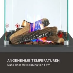 Flagranti Crystal View Gasheizstrahler 8kW Edelstahl 11 Flagranti Crystal View Gasheizstrahler 8kW Edelstahl -Haushaltsgeräte Geschäft 10035094 de 0003 logo