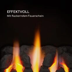 Andora Flame Gasheizofen Gasheizer Feuerschein Bis 3,4kW -Haushaltsgeräte Geschäft 10035407 de 0003 logo