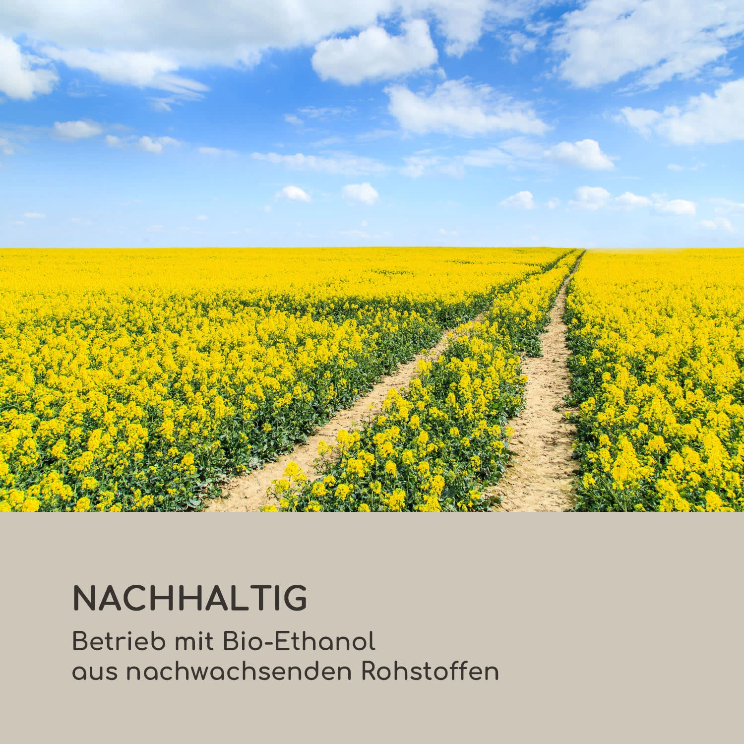 Fiamme Pila Ethanol-Kamin Edelstahl-Brenner 0,5 Liter 4-5 H Brenndauer 9 Fiamme Pila Ethanol-Kamin Edelstahl-Brenner 0,5 Liter 4-5 H Brenndauer – Bild 9