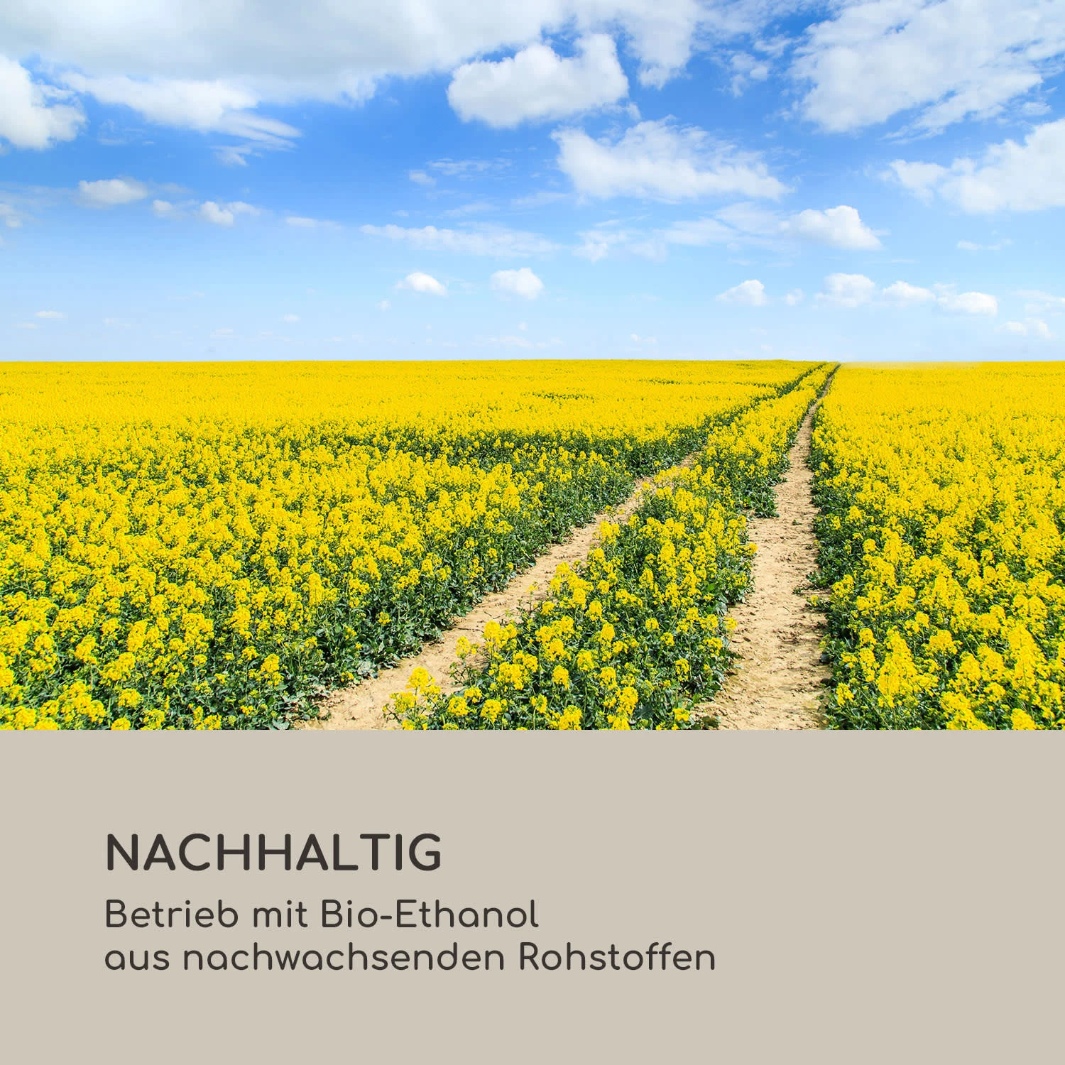 Fiamme Pila Ethanol-Kamin Edelstahl-Brenner 0,5 Liter 4-5 H Brenndauer 9 Fiamme Pila Ethanol-Kamin Edelstahl-Brenner 0,5 Liter 4-5 H Brenndauer – Bild 9