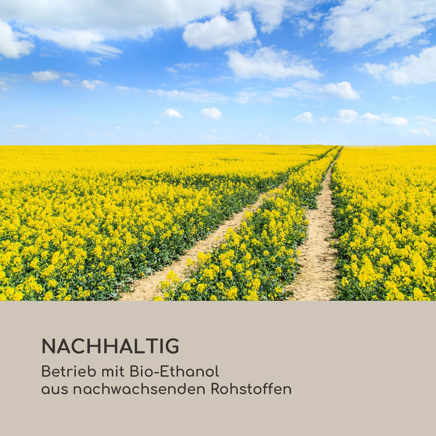 Fiamme Tamburo Ethanol-Kamin Edelstahl-Brenner 0,8Ltr 4-5 H Brenndauer 9 Fiamme Tamburo Ethanol-Kamin Edelstahl-Brenner 0,8Ltr 4-5 H Brenndauer – Bild 9