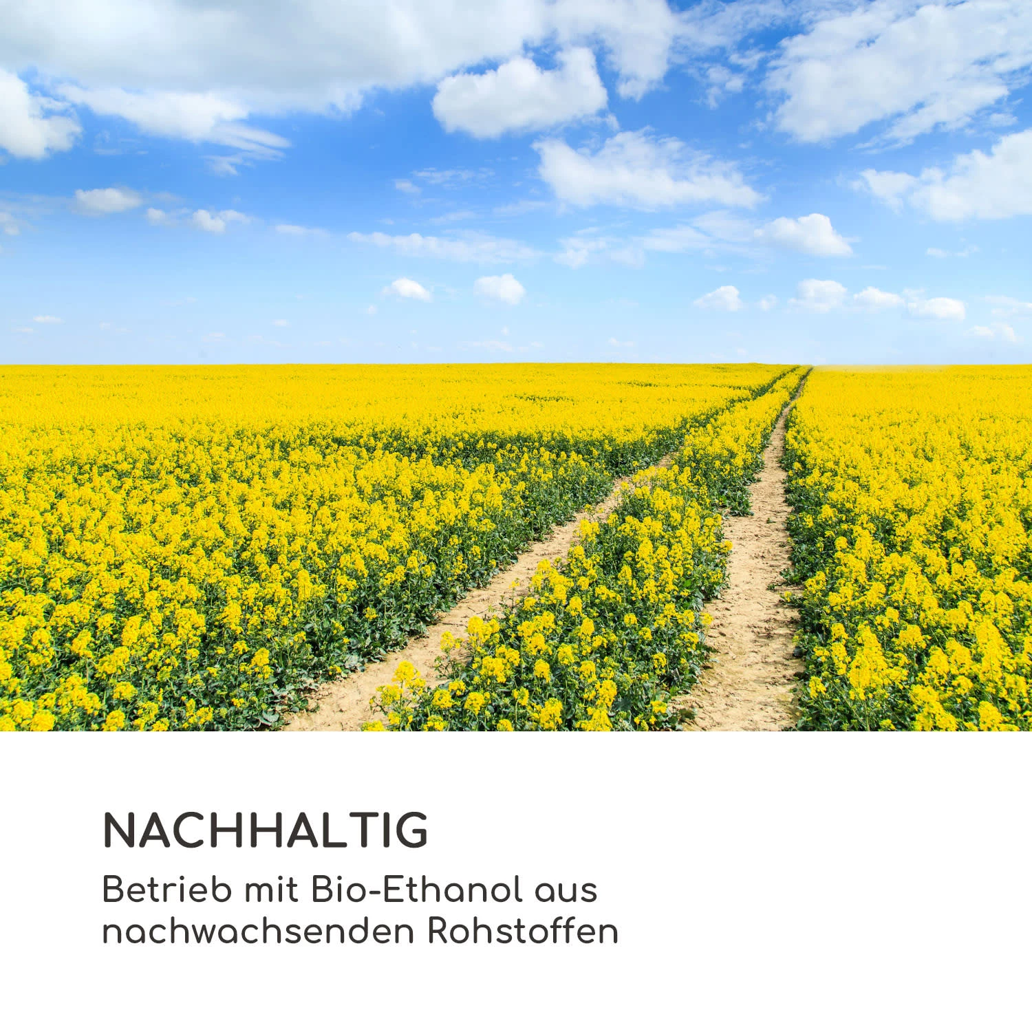 Fiamme Cantal Ethanol-Kamin Edelstahl-Brenner 1,2 Liter 4-6 H Brenndauer 9 Fiamme Cantal Ethanol-Kamin Edelstahl-Brenner 1,2 Liter 4-6 H Brenndauer – Bild 9