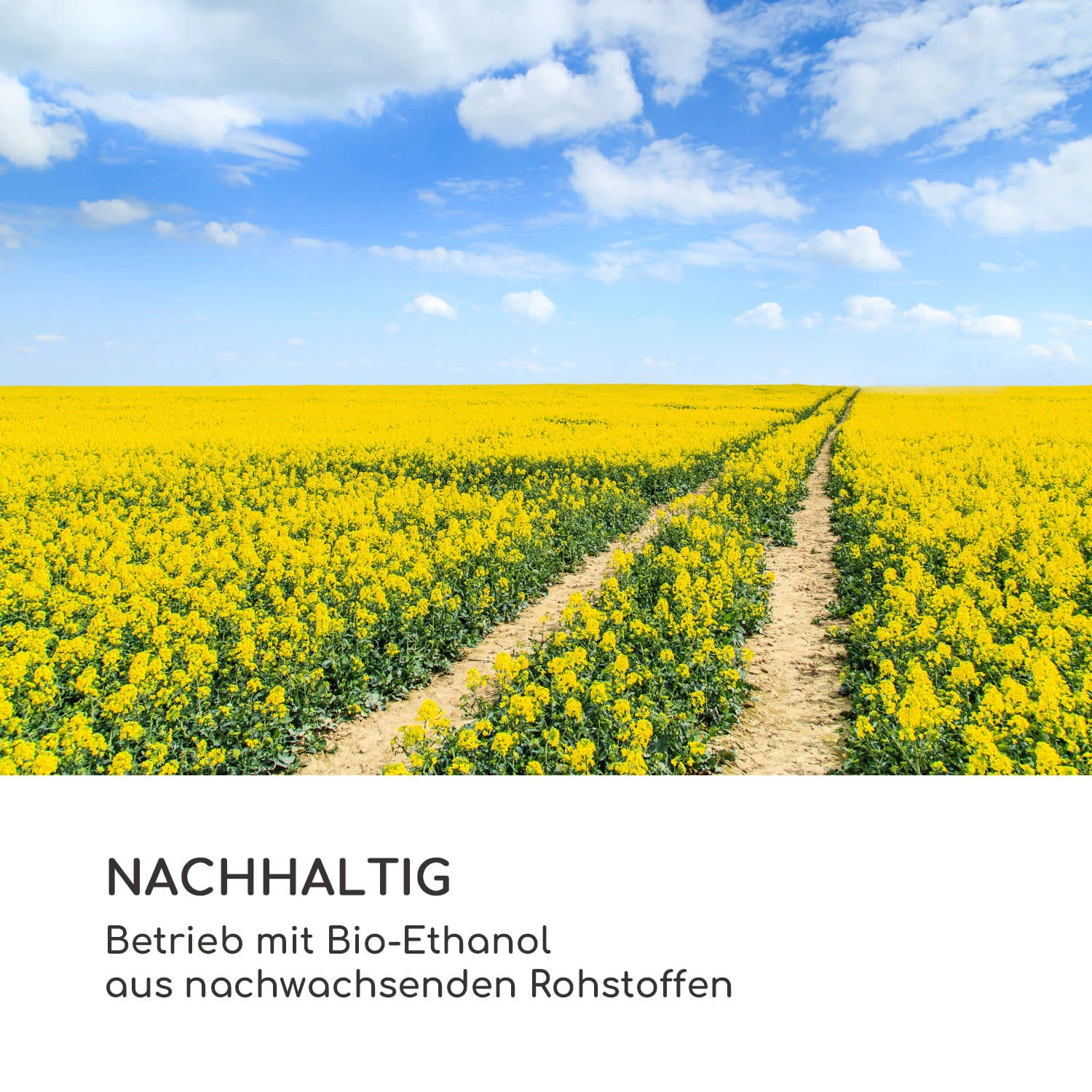 Fiamme Circulo Ethanol-Kamin Edelstahl-Brenner 1,2 Liter 4-5 H Brenndauer 9 Fiamme Circulo Ethanol-Kamin Edelstahl-Brenner 1,2 Liter 4-5 H Brenndauer – Bild 9