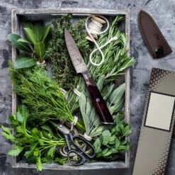 Infinity Wave 4" Schälmesser 61 HRC Damaszenerstahl -Haushaltsgeräte Geschäft 10039038 yy 0003 logo