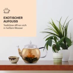 Feelino 6er Teeblume Mix Grün 9 Feelino 6er Teeblume Mix Grün -Haushaltsgeräte Geschäft 10040407 de 0003 logo