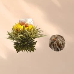 Feelino 6er Teeblume Mix Grün 13 Feelino 6er Teeblume Mix Grün -Haushaltsgeräte Geschäft 10040407 yy 0007 logo